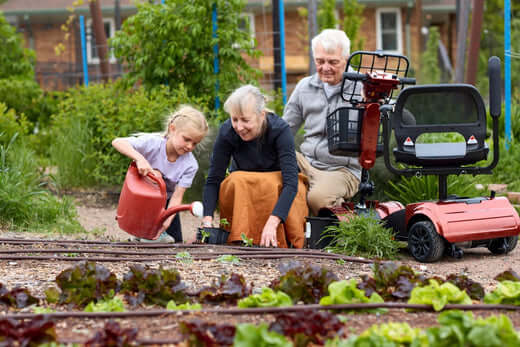 Mobility Solutions: Comprehensive Options for Enhanced Independence